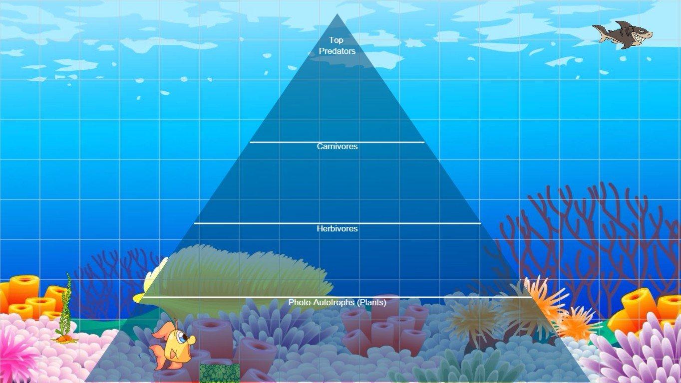 Ocean Ecological Pyramid