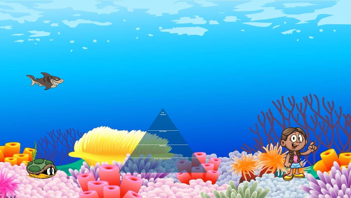 Ocean Ecological Pyramid