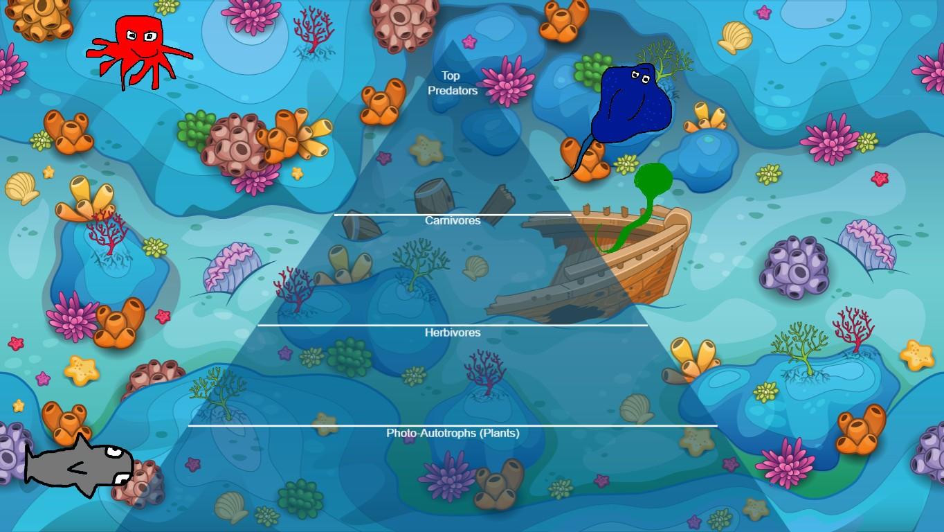 Ocean Ecological Pyramid