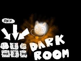 Dark Room! 1