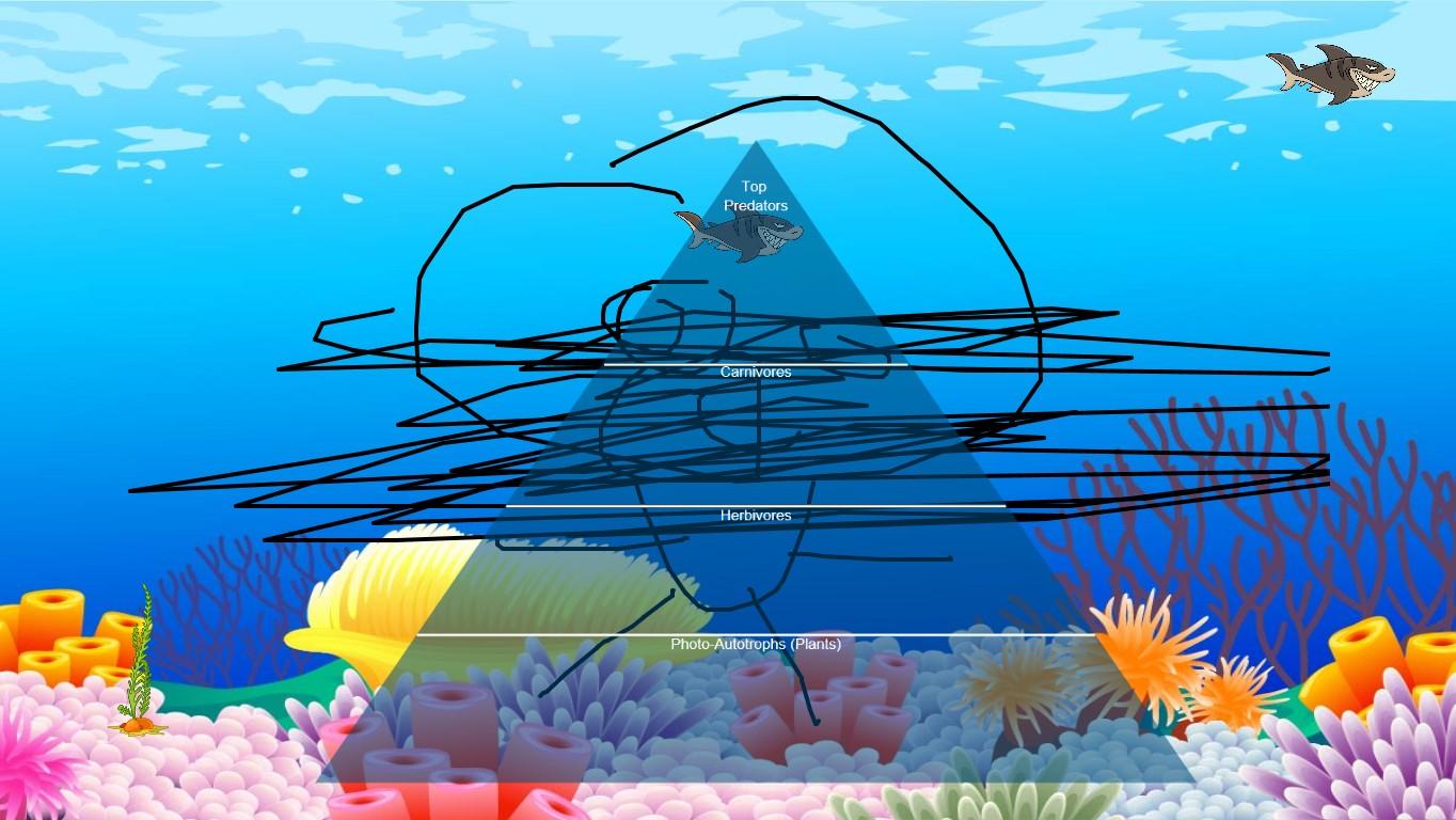 Ocean Ecological Pyramid