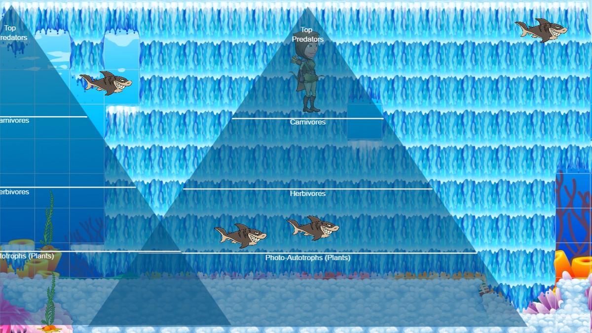 Ocean Ecological Pyramid