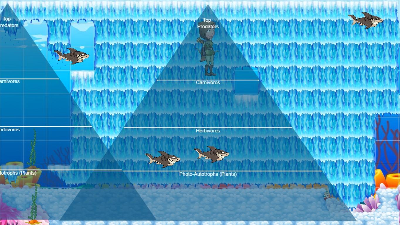 Ocean Ecological Pyramid