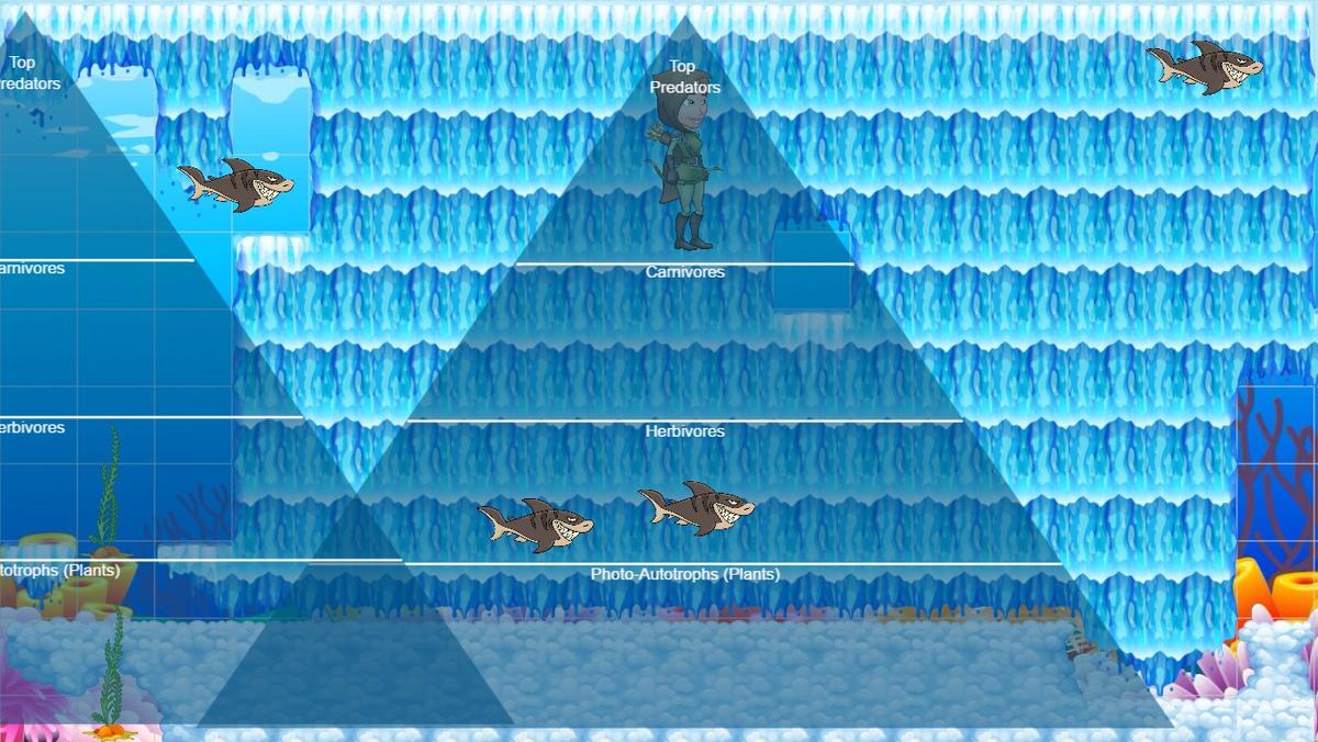 Ocean Ecological Pyramid