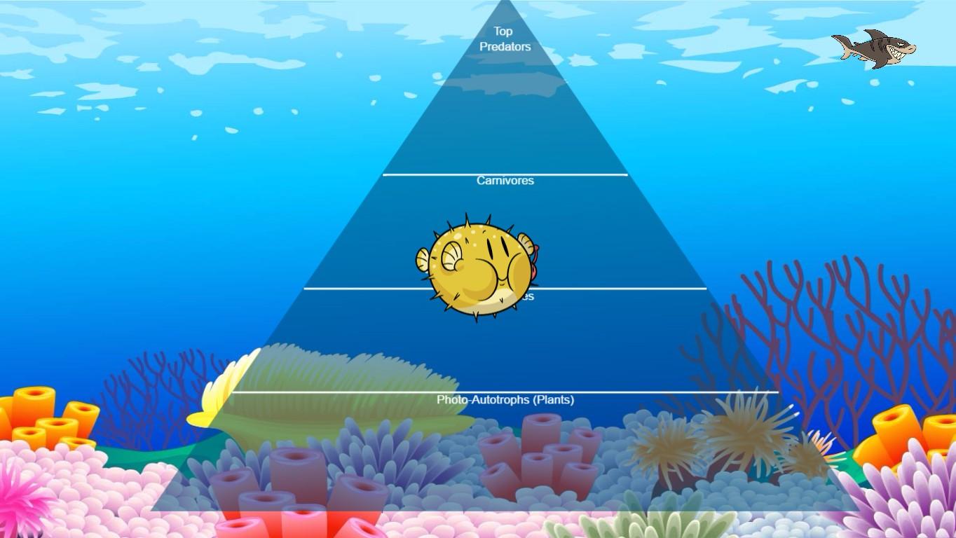 Ocean Ecological Pyramid