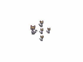 its a cat army