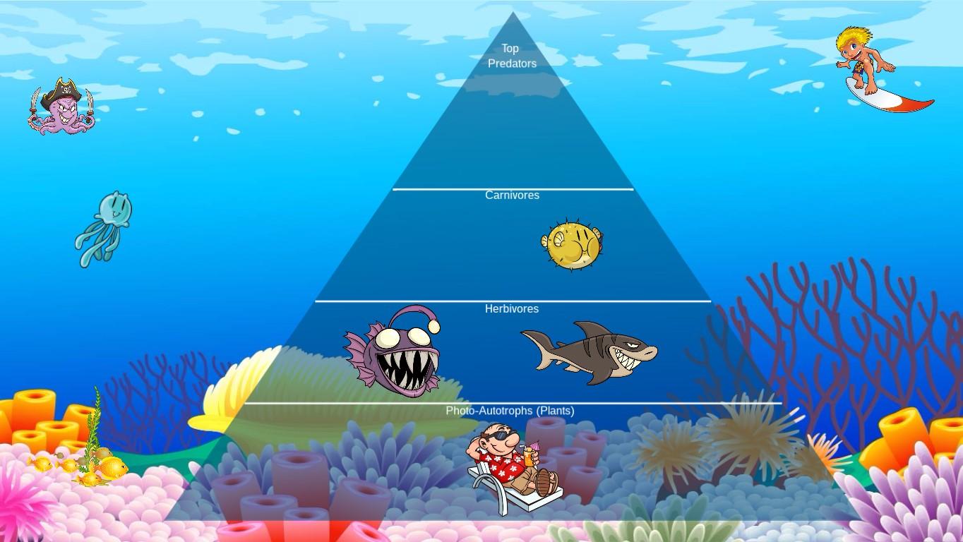 Ocean Ecological Pyramid