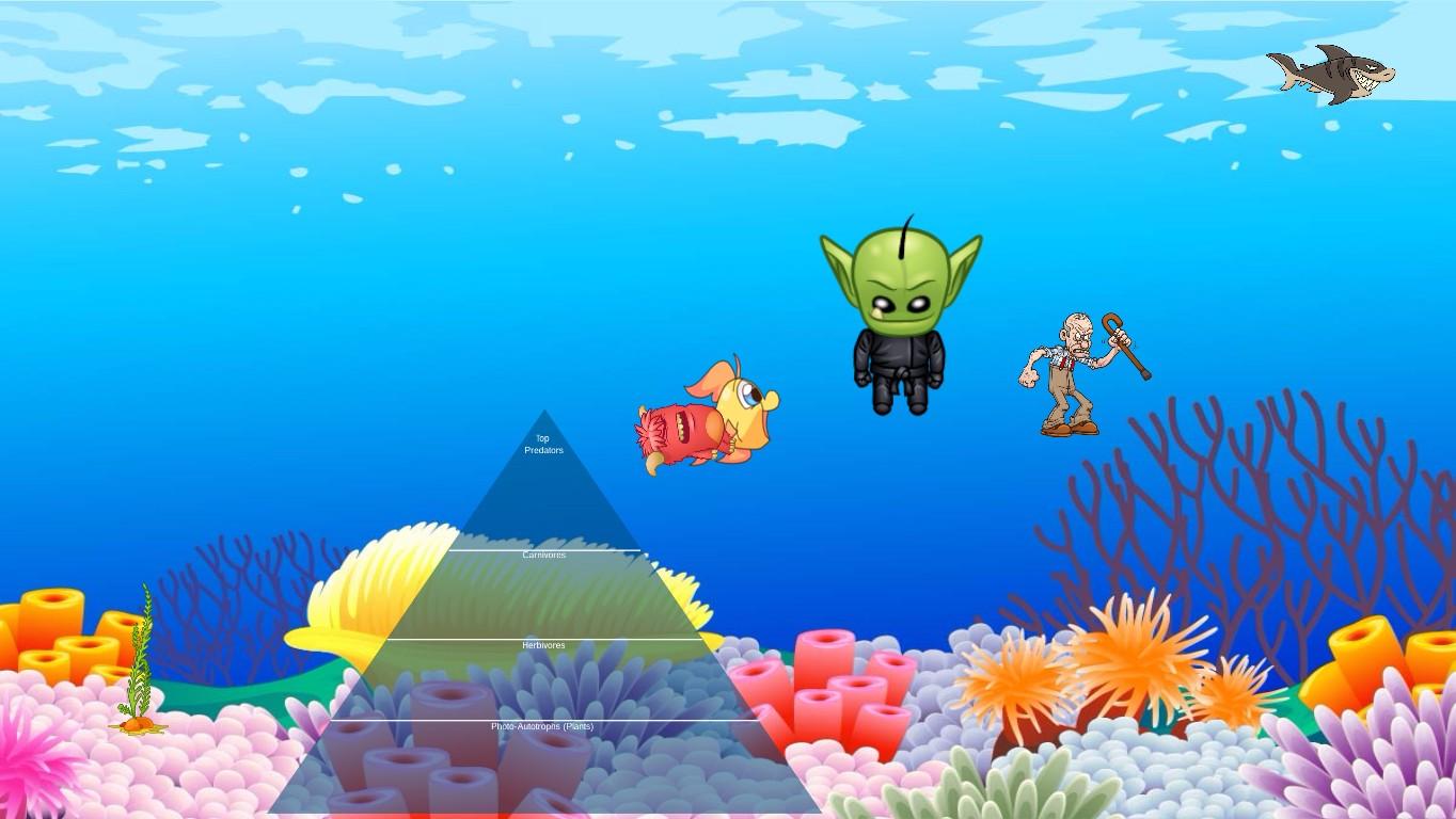 Ocean Ecological Pyramid