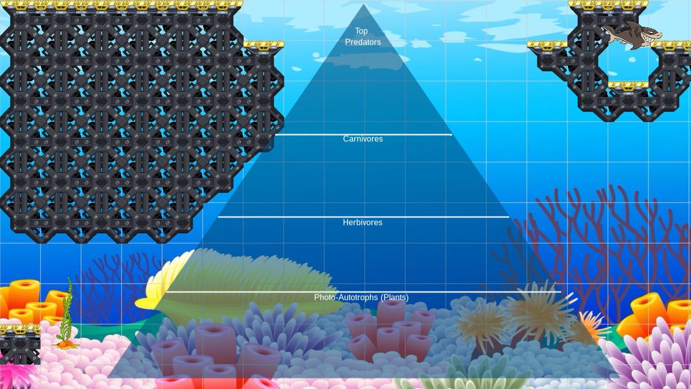 Ocean Ecological Pyramid