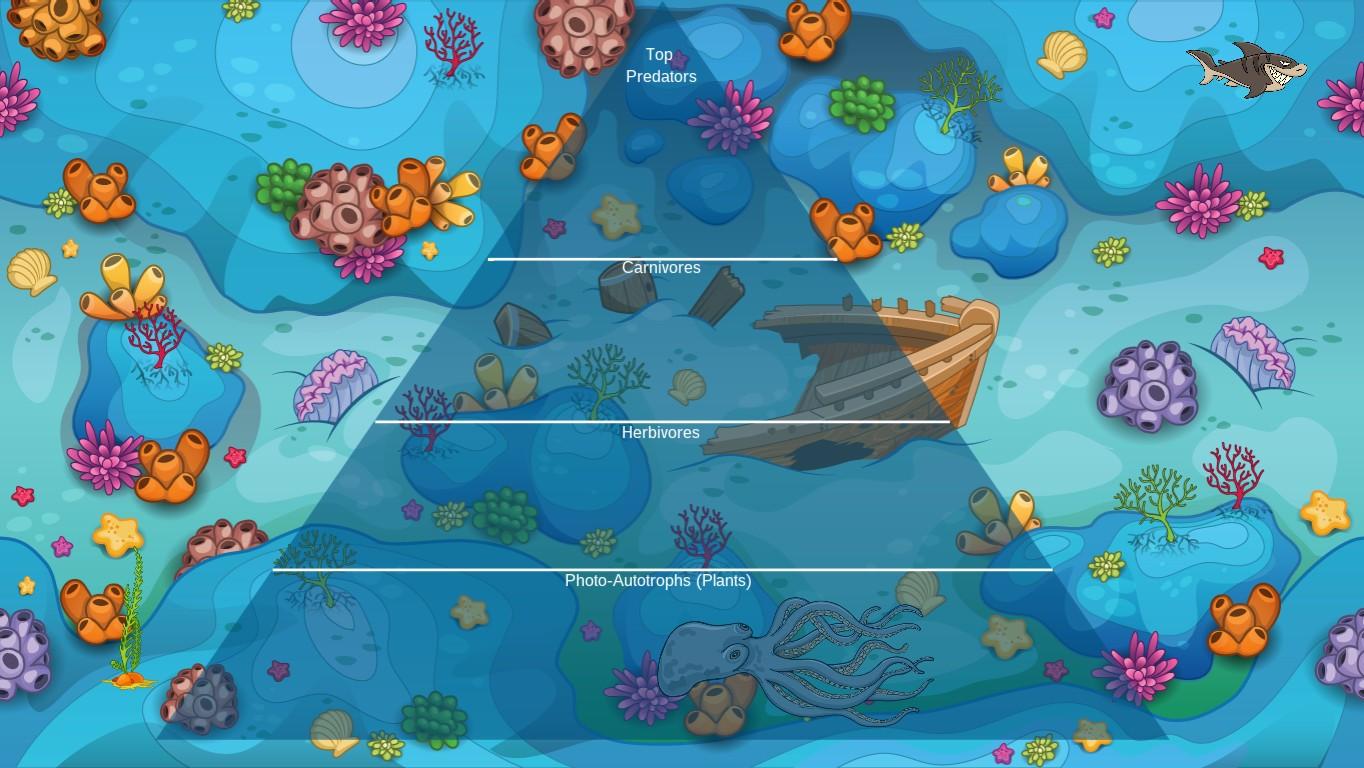 Ocean Ecological Pyramid