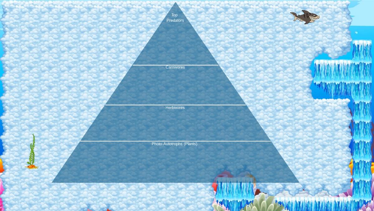 Ocean Ecological Pyramid