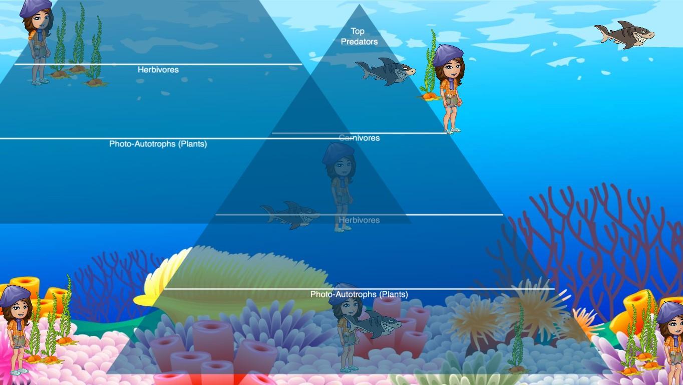 Ocean Ecological Pyramid