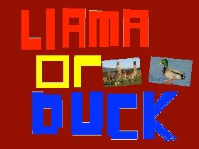 Llama or Duck? 1