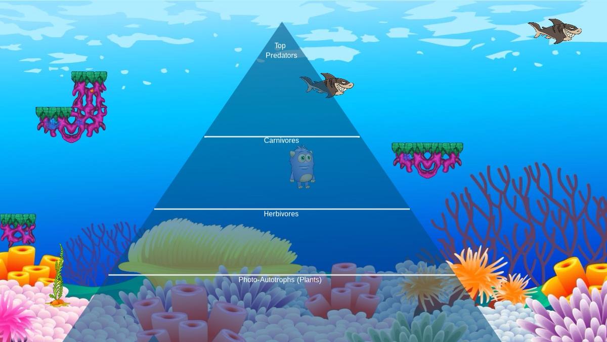 Ocean Ecological Pyramid