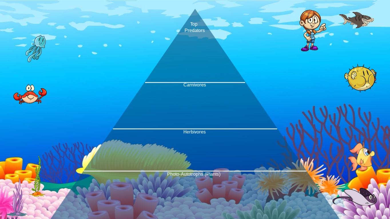 Ocean Ecological Pyramid