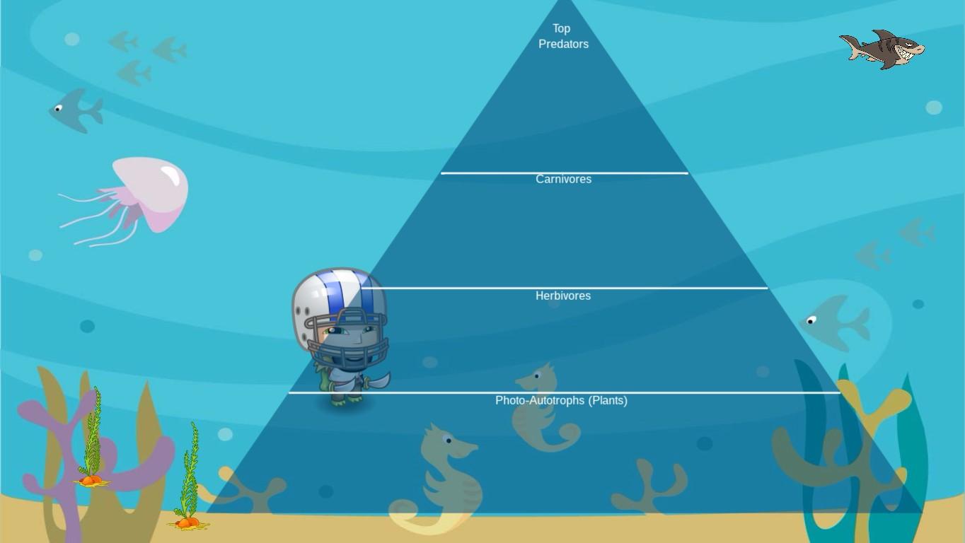 Ocean Ecological Pyramid