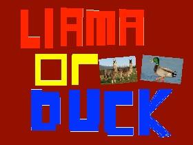 Llama or Duck? #imposible