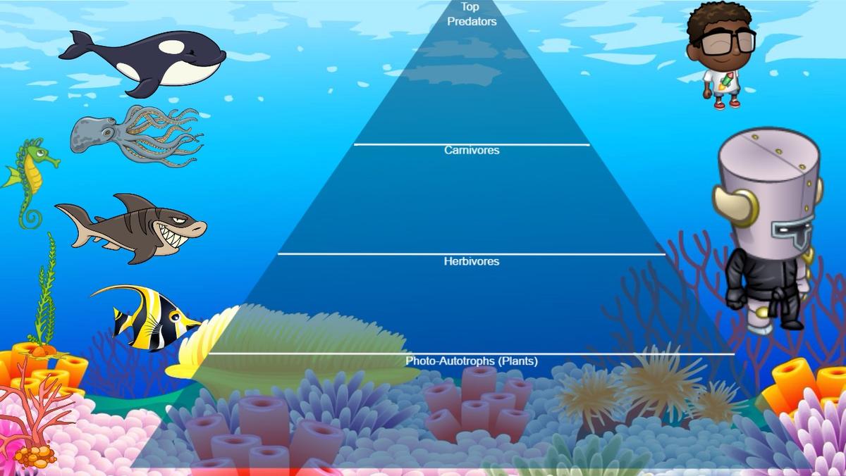 Ocean Ecological Pyramid