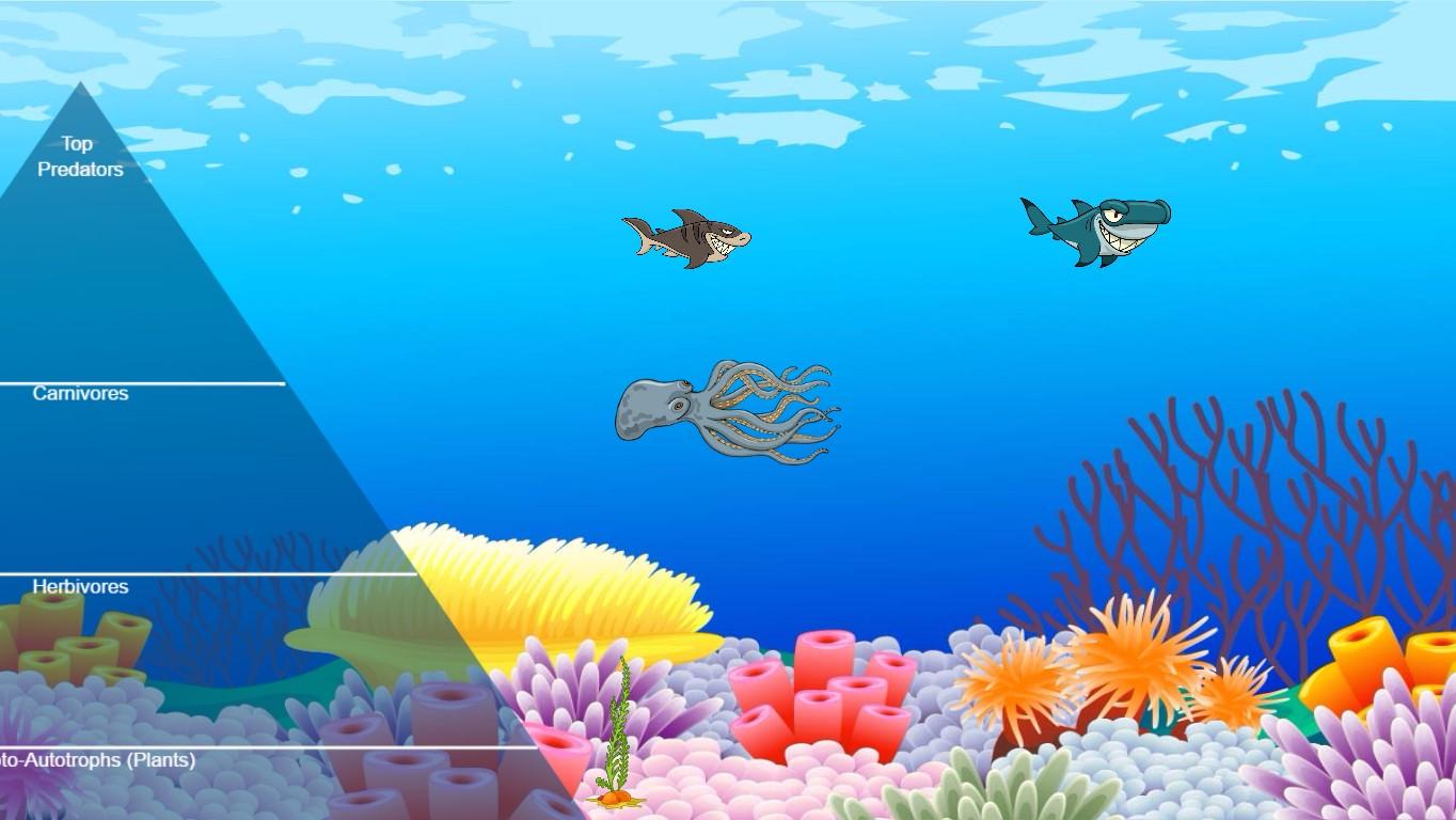 Ocean Ecological Pyramid