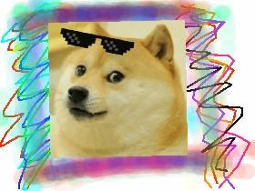 DOGE  1 2