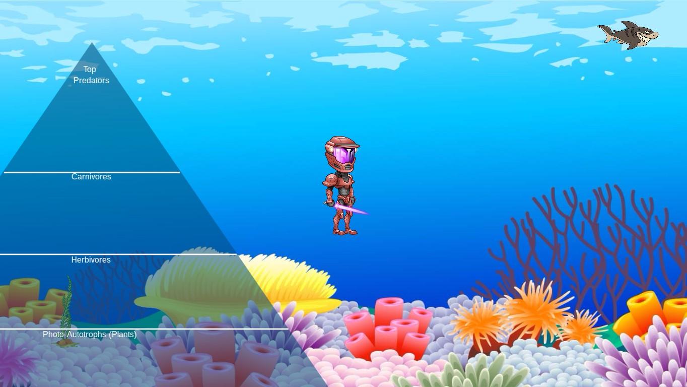 Ocean Ecological Pyramid