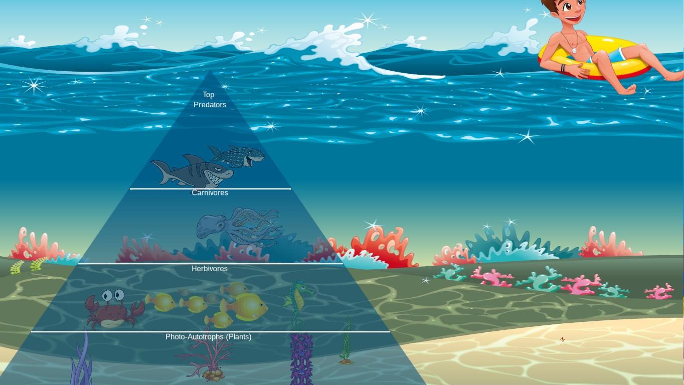 Ocean Ecological Pyramid