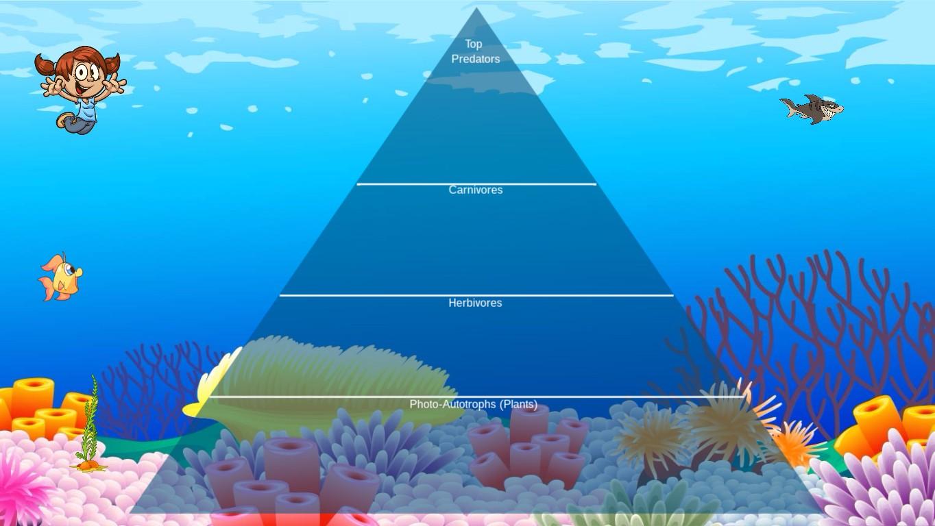 Ocean Ecological Pyramid