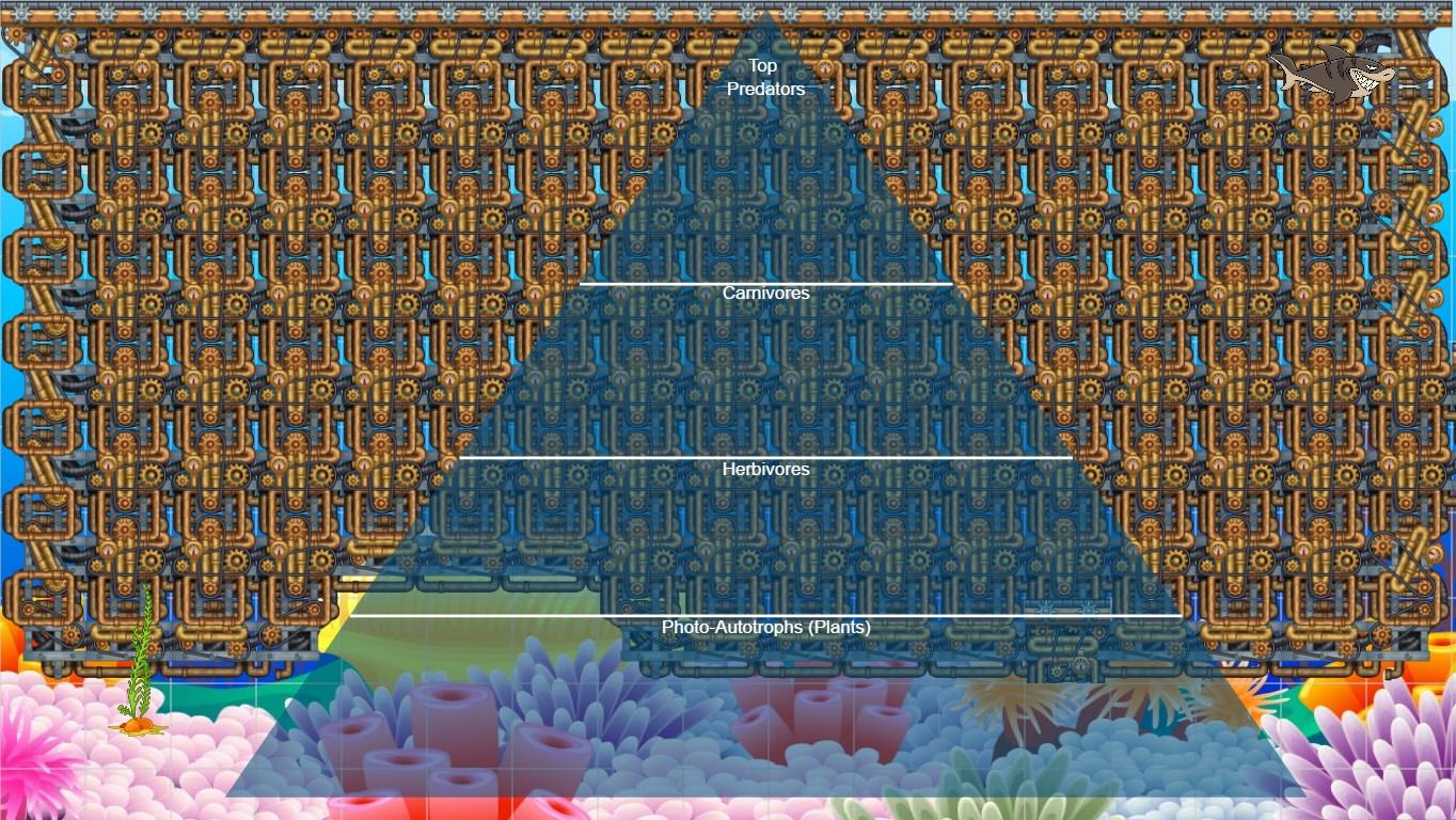 Ocean Ecological Pyramid