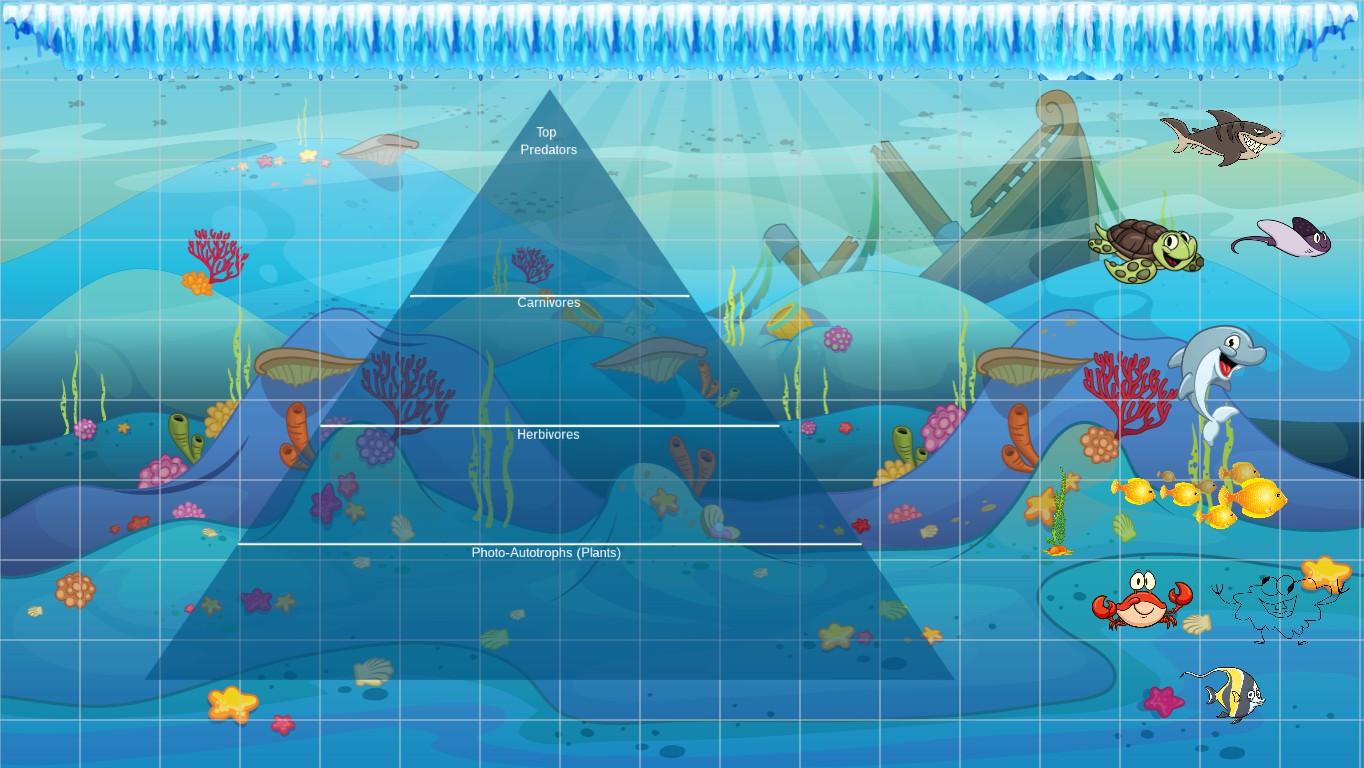 Ocean Ecological Pyramid