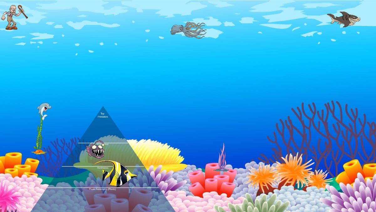 Ocean Ecological Pyramid