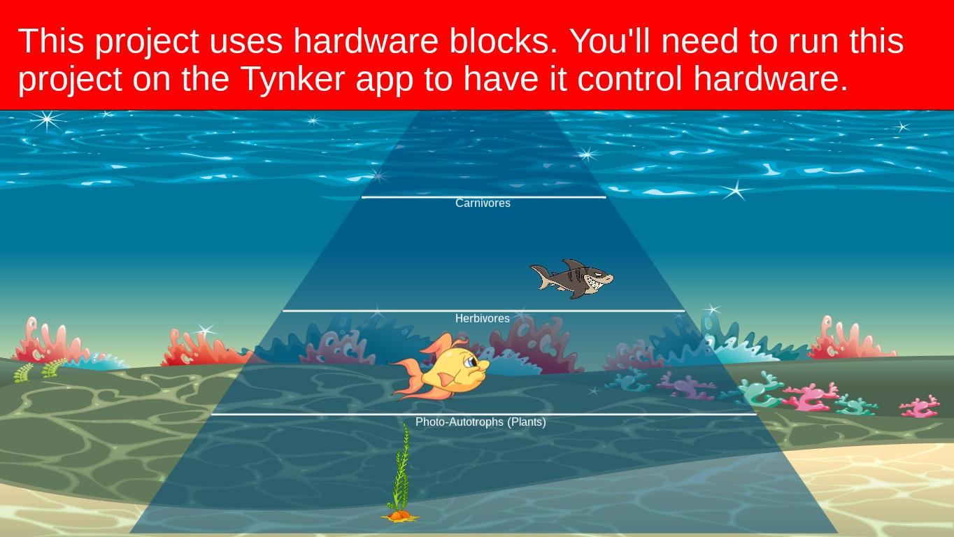 Ocean Ecological Pyramid