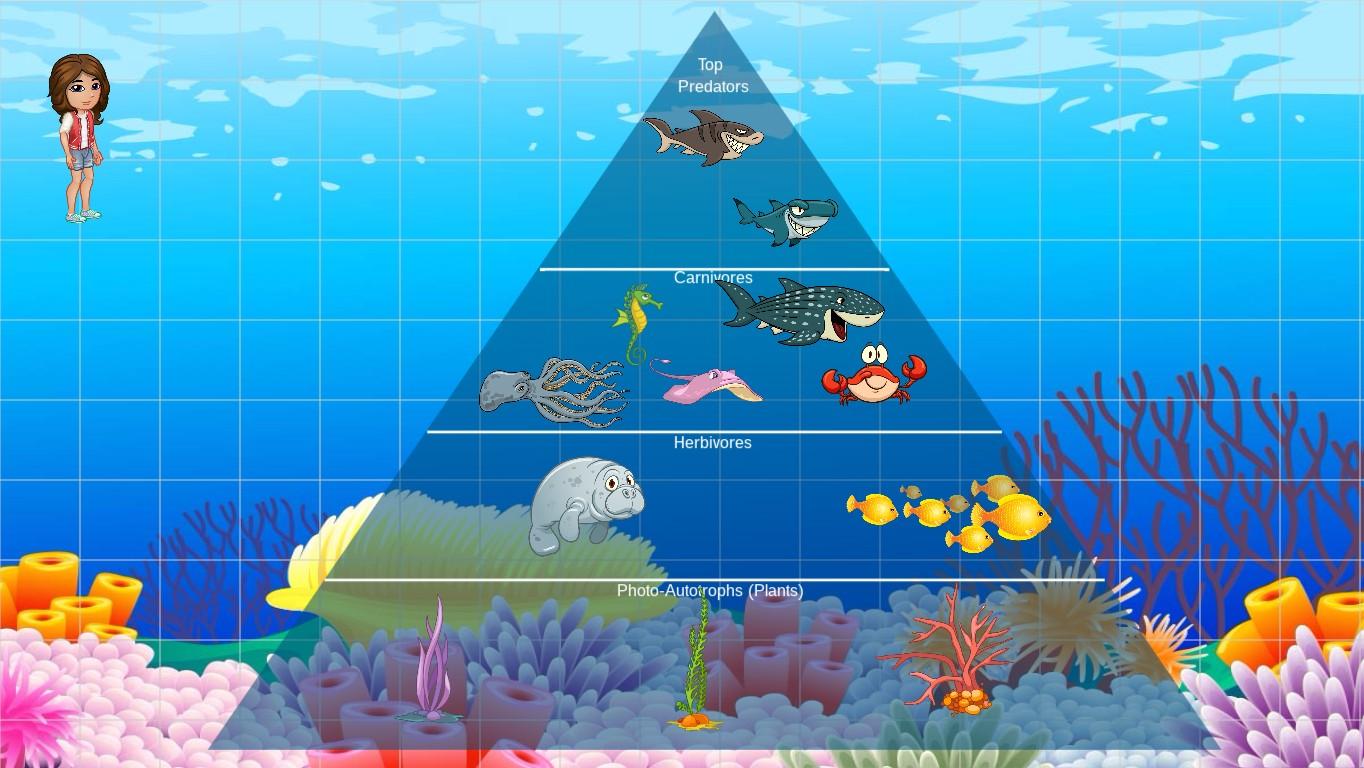 Ocean Ecological Pyramid