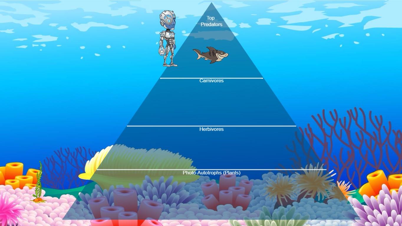 Ocean Ecological Pyramid