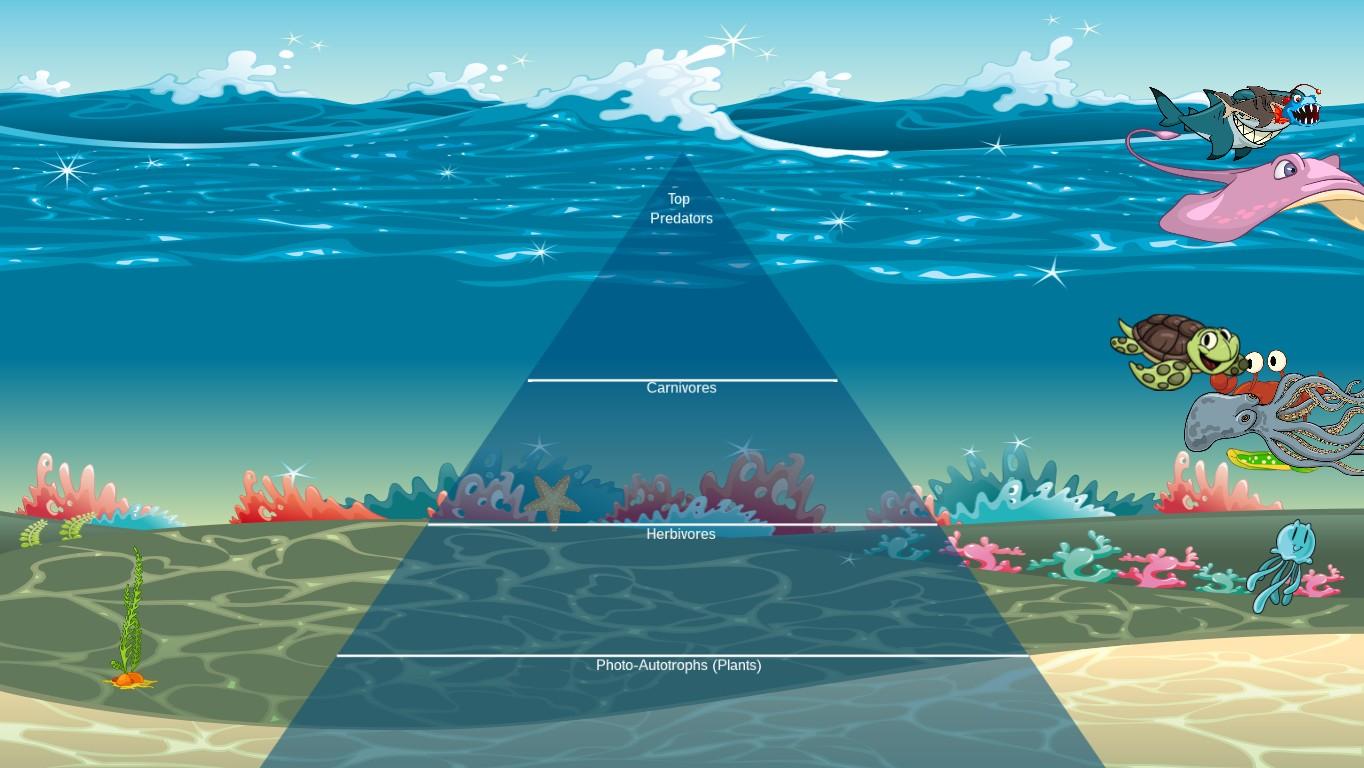 Ocean Ecological Pyramid