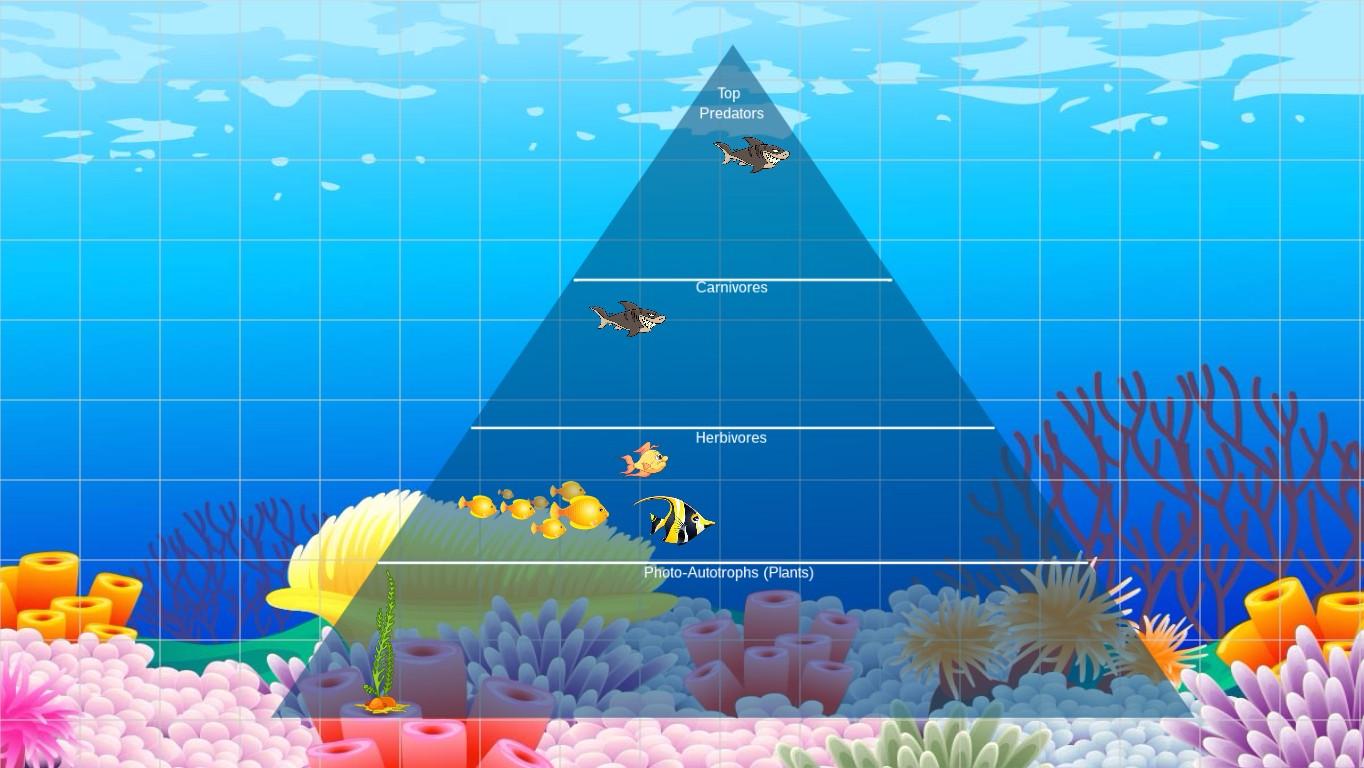 Ocean Ecological Pyramid