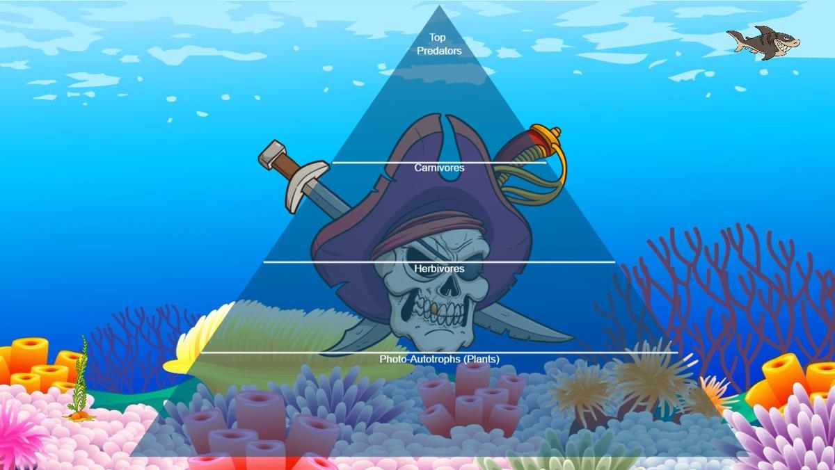 Ocean Ecological Pyramid