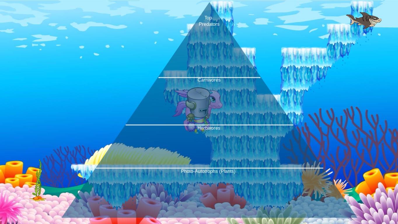 Ocean Ecological Pyramid