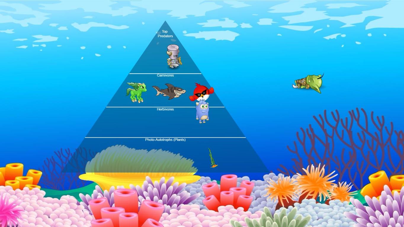 Ocean Ecological Pyramid