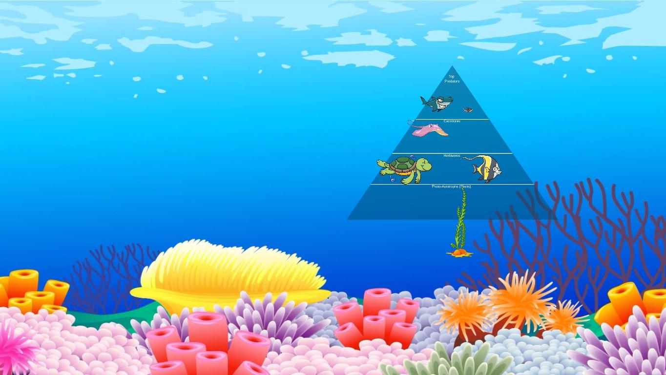 Ocean Ecological Pyramid