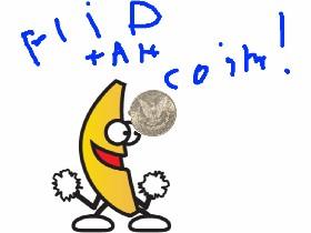 portible coin flip