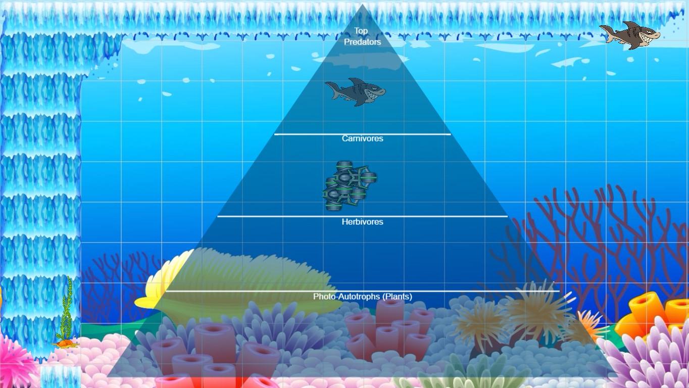 Ocean Ecological Pyramid