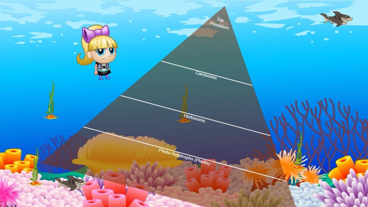 Ocean Ecological Pyramid