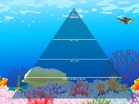 Ecological Pyramid 1