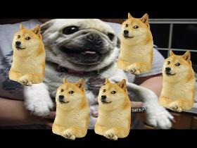 dogeville