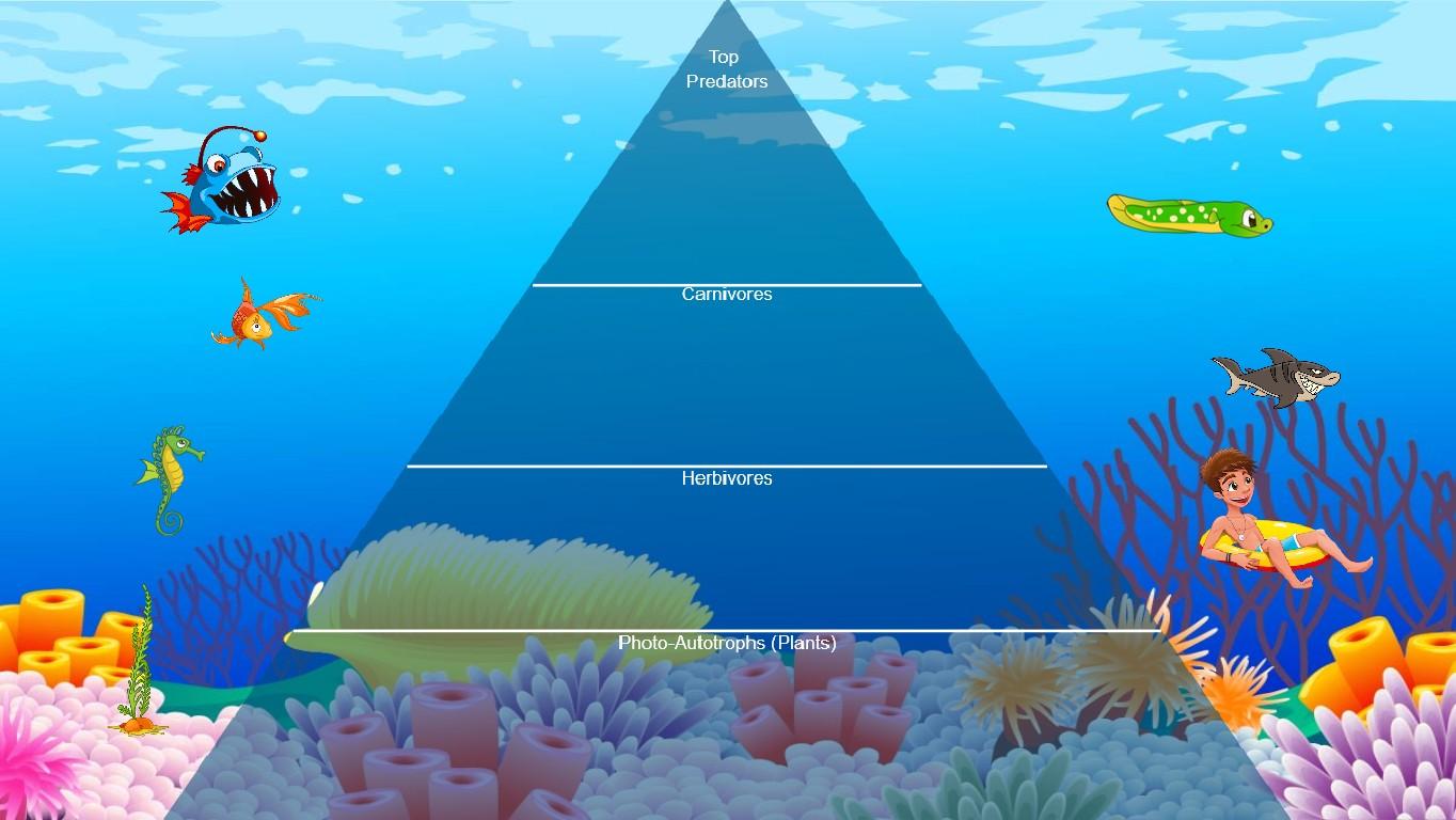 Ocean Ecological Pyramid