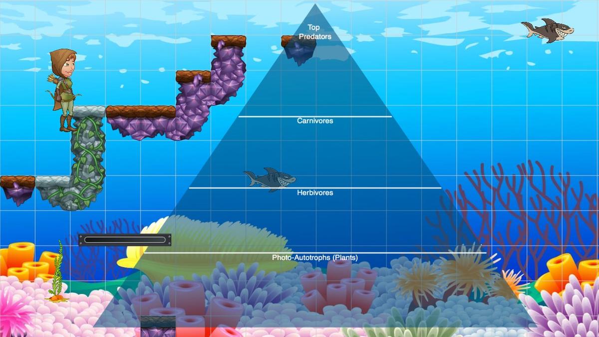 Ocean Ecological Pyramid