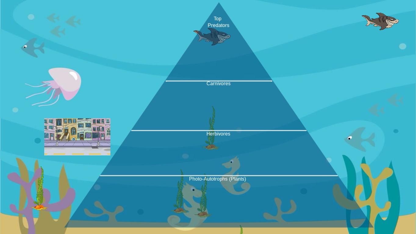 Ocean Ecological Pyramid