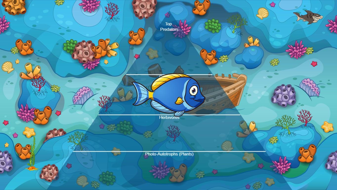 Ocean Ecological Pyramid