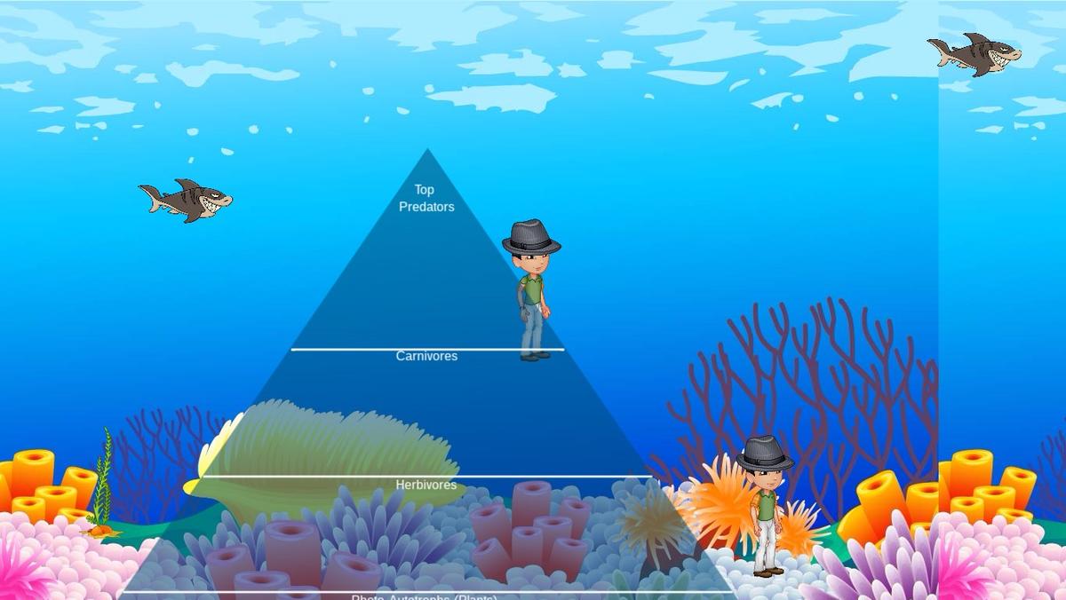 Ocean Ecological Pyramid