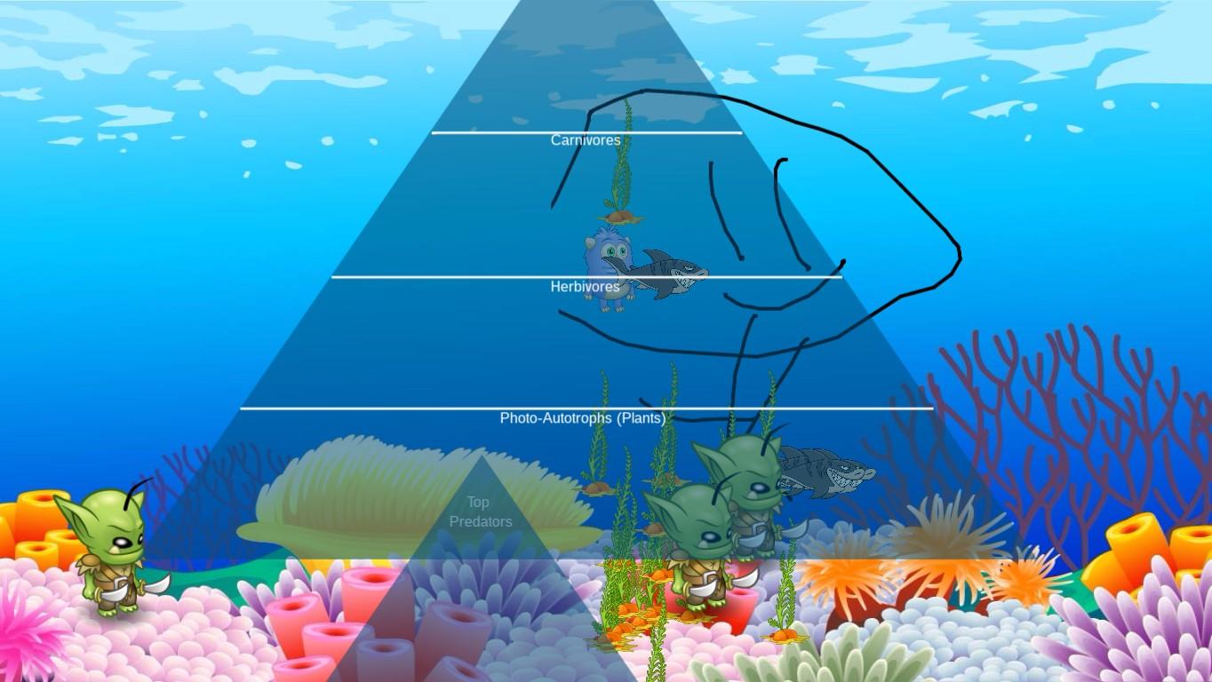 Ocean Ecological Pyramid